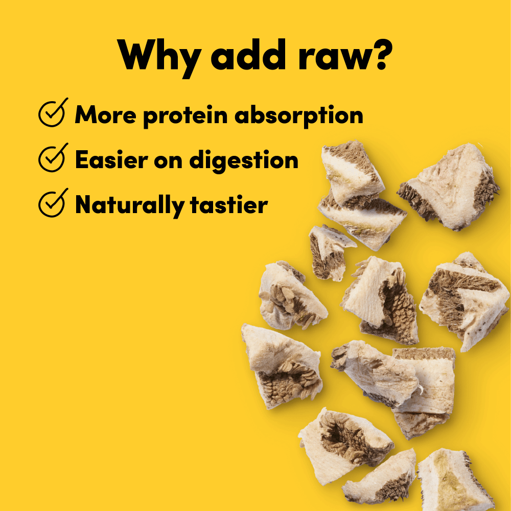 Grass Fed Lamb Tripe Freeze Dried Raw Dog Treats 5 Grass Fed Lamb Tripe Freeze Dried Raw Dog Treats