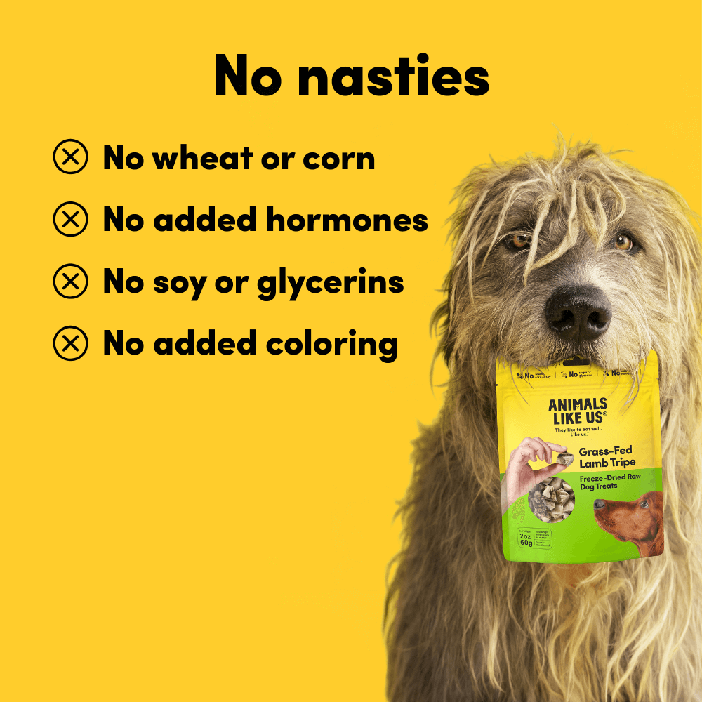 Grass Fed Lamb Tripe Freeze Dried Raw Dog Treats 6 Grass Fed Lamb Tripe Freeze Dried Raw Dog Treats