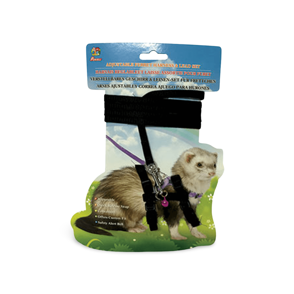 Harness And Lead Set Ferret Black