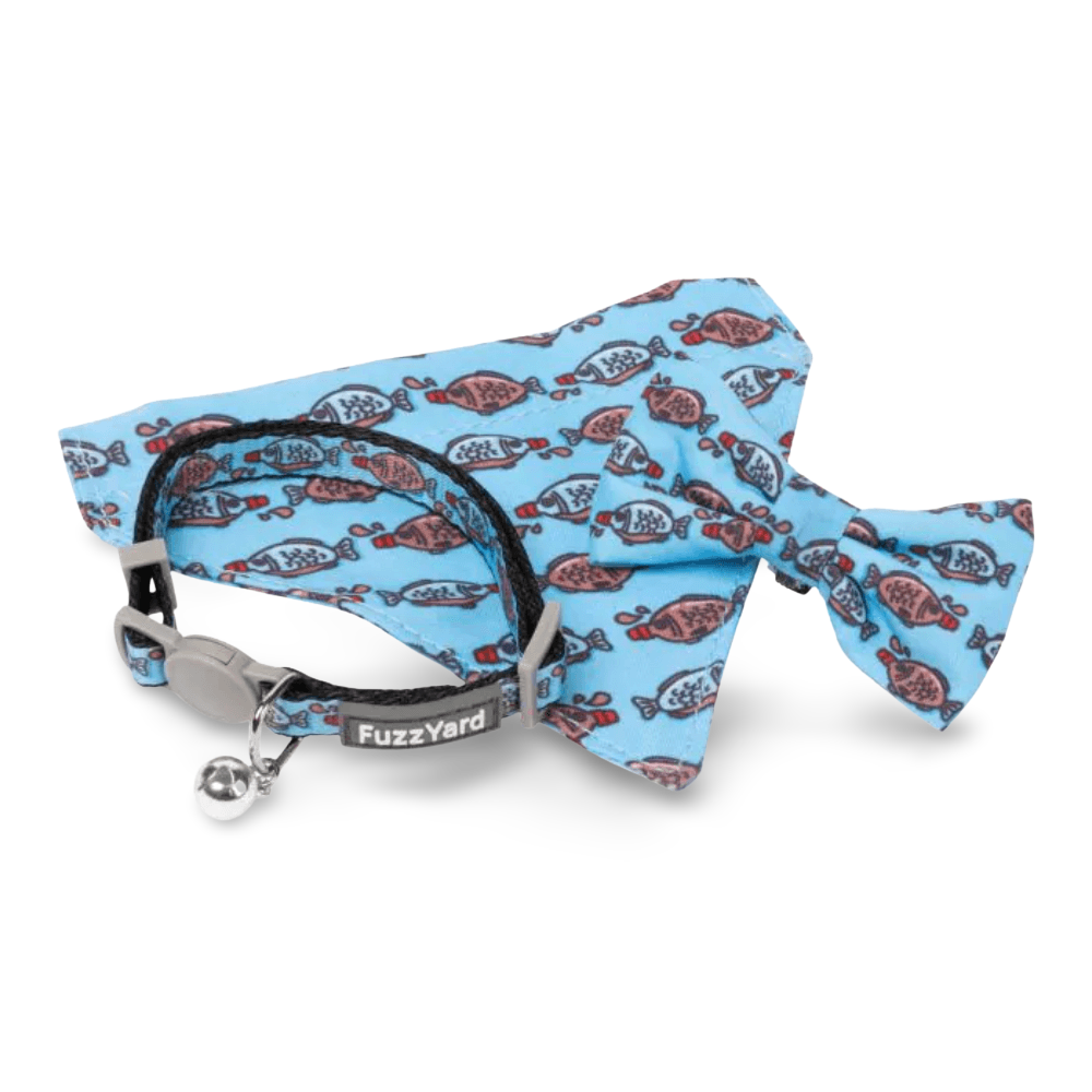 Soy Sauce Fish Cat Fashion Pack 1 Soy Sauce Fish Cat Fashion Pack
