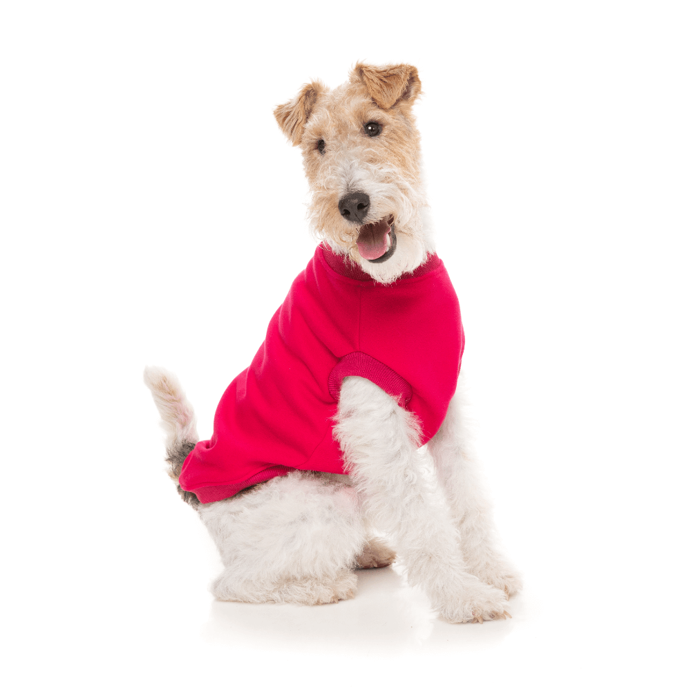 Magenta Allday Dog Jumper