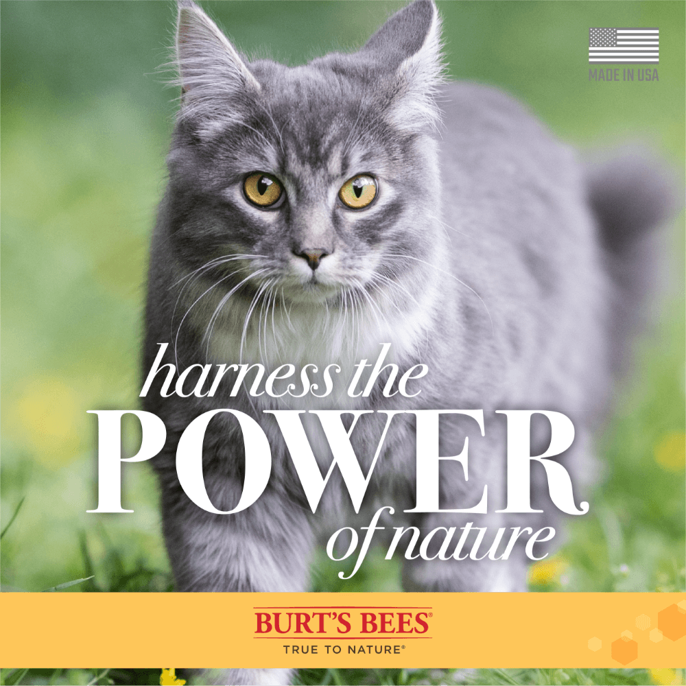 Waterless Shampoo For Cats 3 Waterless Shampoo For Cats