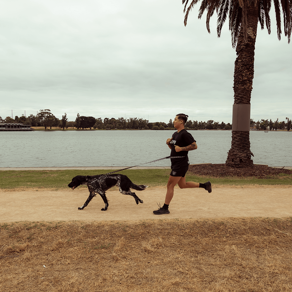 Active Hands Free Lead Dog
