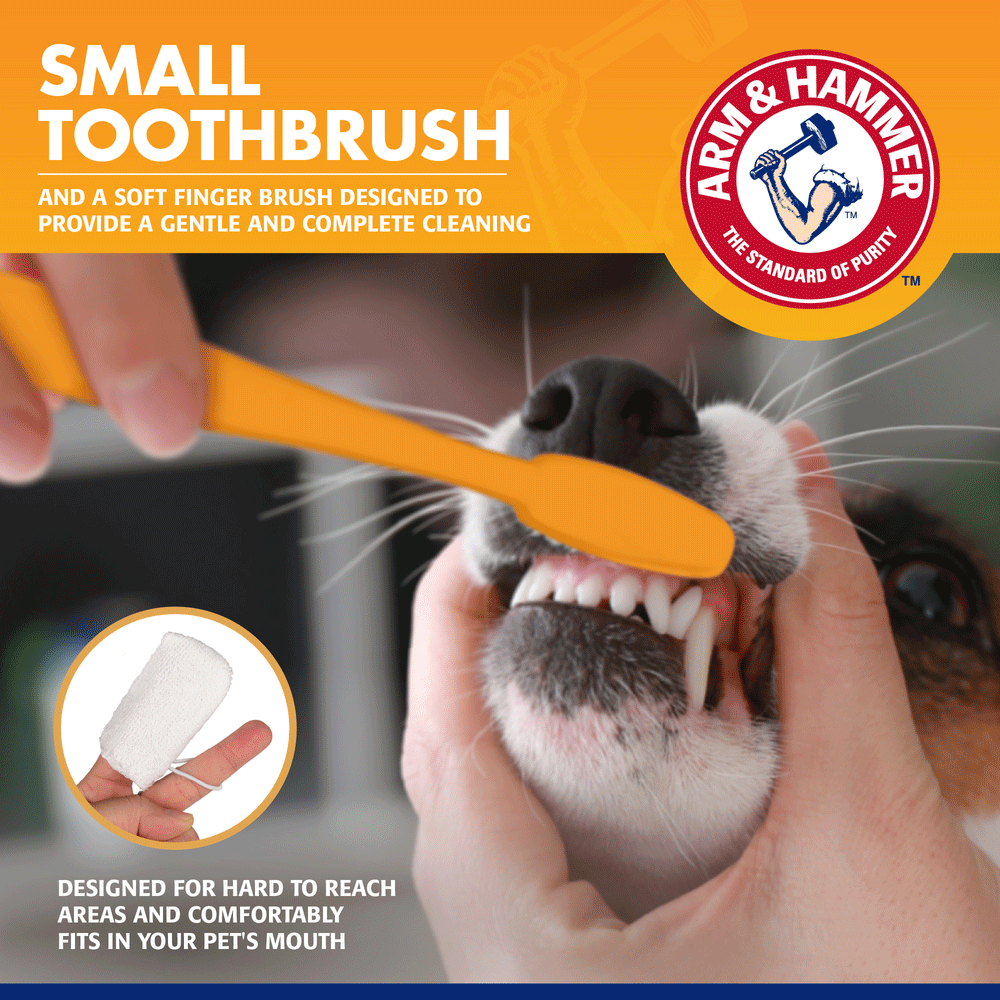 Tartar Control Dental Training Kit For Puppies Vanilla Ginger 5 Tartar Control Dental Training Kit For Puppies Vanilla Ginger