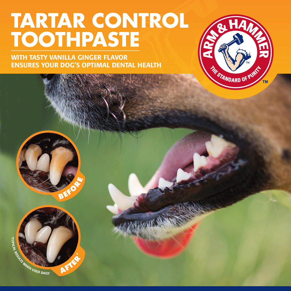 Tartar Control Dental Training Kit For Puppies Vanilla Ginger 6 Tartar Control Dental Training Kit For Puppies Vanilla Ginger