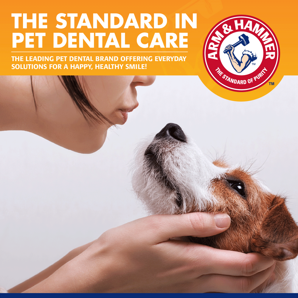 Tartar Control Dental Training Kit For Puppies Vanilla Ginger 7 Tartar Control Dental Training Kit For Puppies Vanilla Ginger
