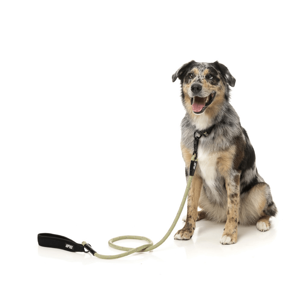 Active Rope Lead Dog Khaki