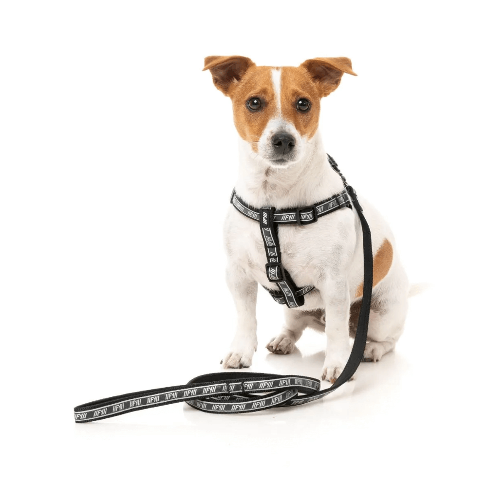 Active Lead Dog Black