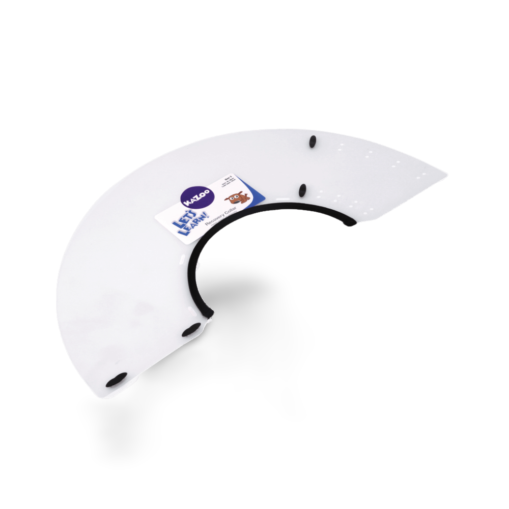 Clear Recovery Collar For Cats And Dogs 1 Clear Recovery Collar For Cats And Dogs