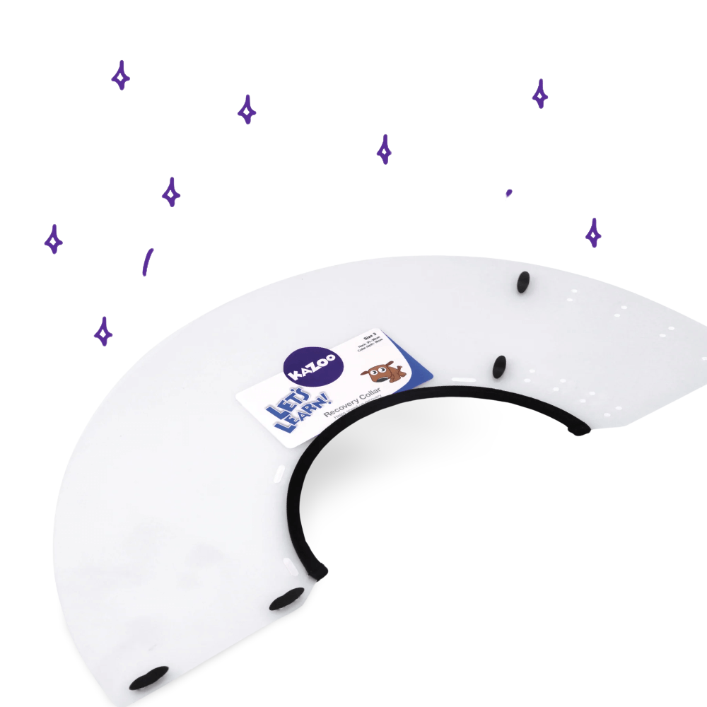 Clear Recovery Collar For Cats And Dogs 2 Clear Recovery Collar For Cats And Dogs