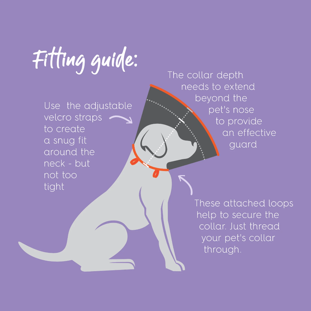 Clear Recovery Collar For Cats And Dogs 5 Clear Recovery Collar For Cats And Dogs