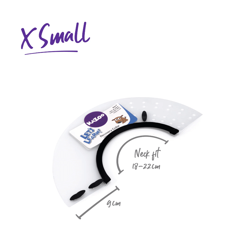 Clear Recovery Collar For Cats And Dogs 6 Clear Recovery Collar For Cats And Dogs