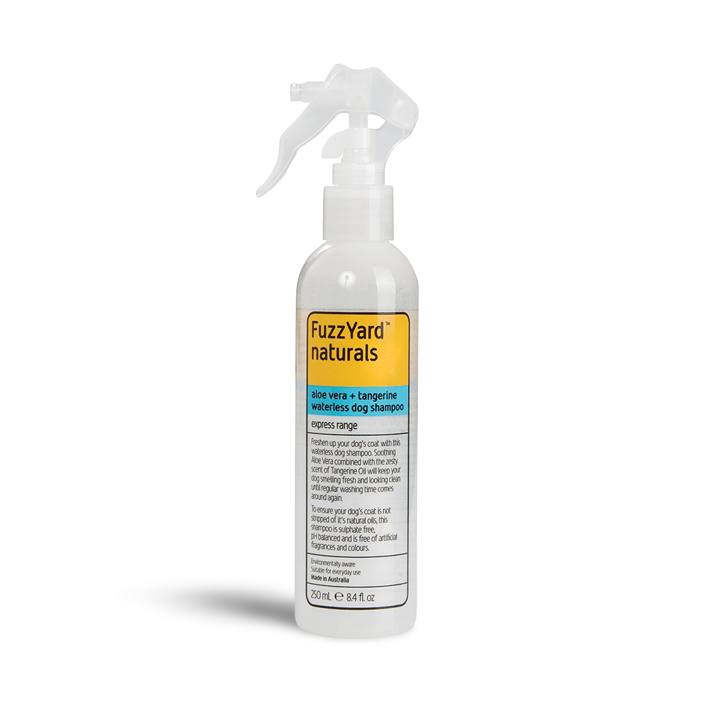 Waterless Shampoo 1 Waterless Shampoo