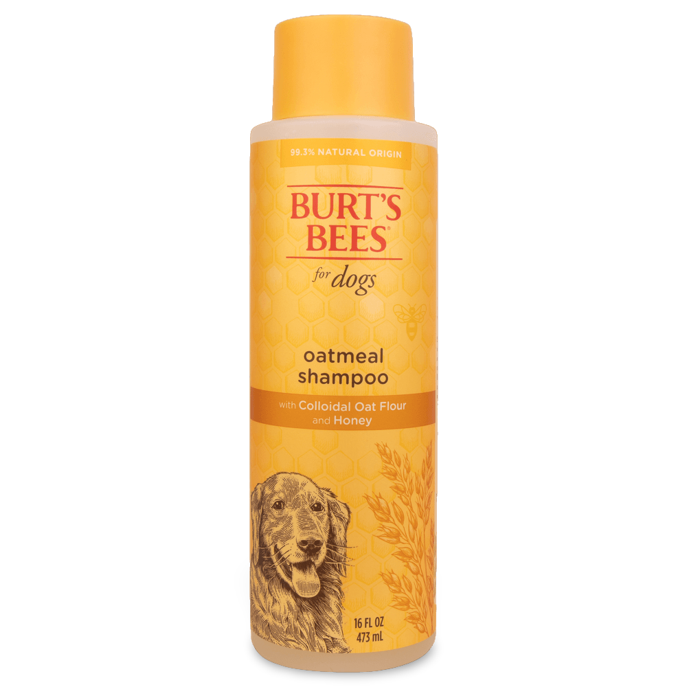 Oatmeal Shampoo For Dogs 1 Oatmeal Shampoo For Dogs