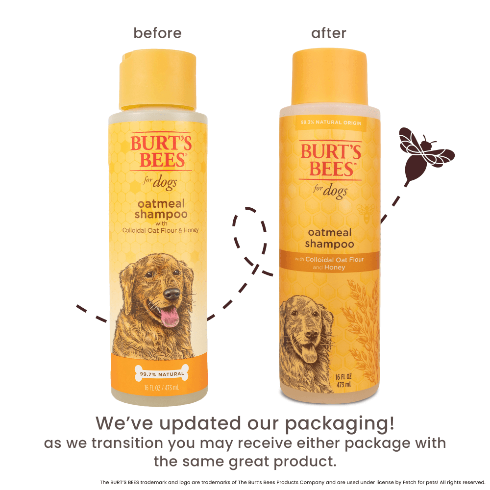 Oatmeal Shampoo For Dogs 10 Oatmeal Shampoo For Dogs