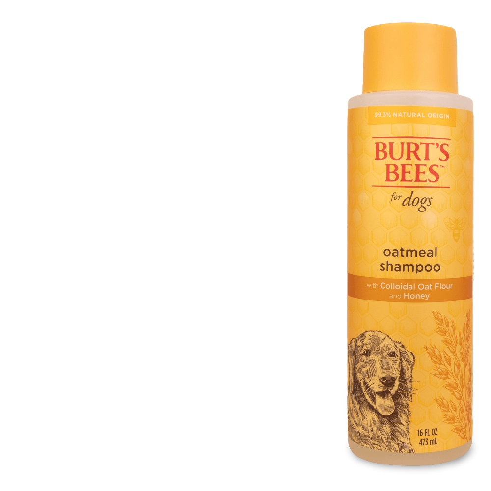 Oatmeal Shampoo For Dogs 2 Oatmeal Shampoo For Dogs
