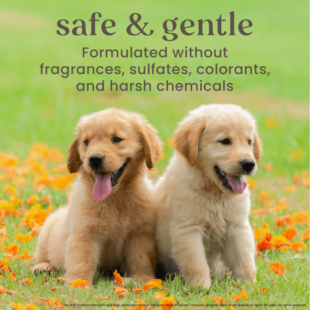 Oatmeal Shampoo For Dogs 5 Oatmeal Shampoo For Dogs