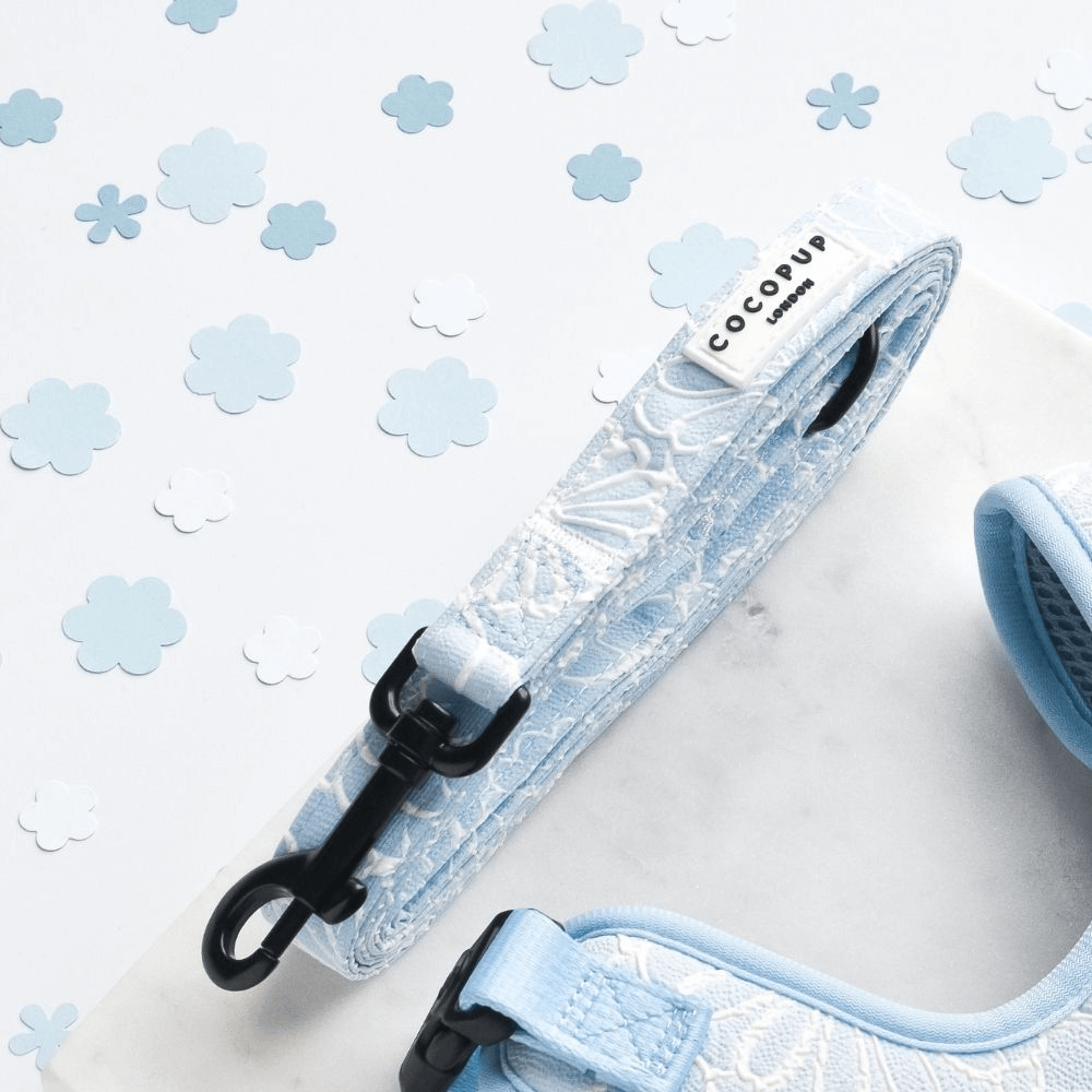 Dog Lead Baby Blue Flower 1 Dog Lead Baby Blue Flower