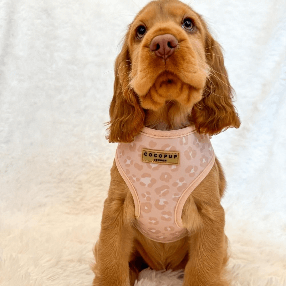 Adjustable Neck Dog Harness Nude Chic Leopard 3 Adjustable Neck Dog Harness Nude Chic Leopard
