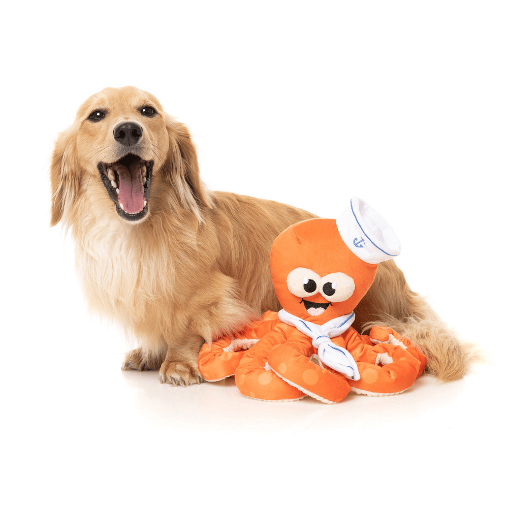 Sailor Squiggles Plush Dog Toy 3 Sailor Squiggles Plush Dog Toy