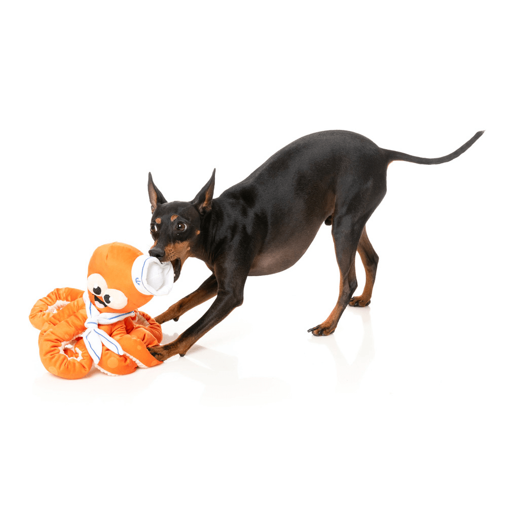 Sailor Squiggles Plush Dog Toy 4 Sailor Squiggles Plush Dog Toy