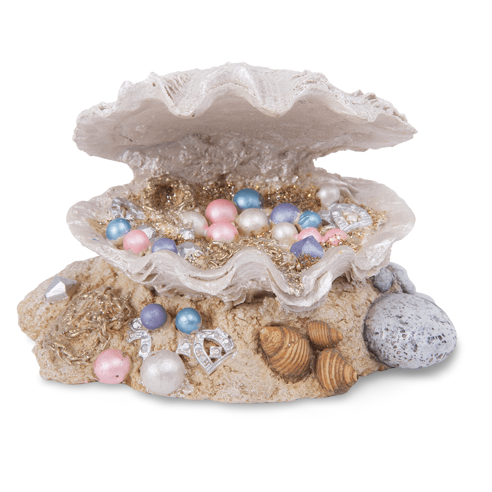 Princess Treasure Clam