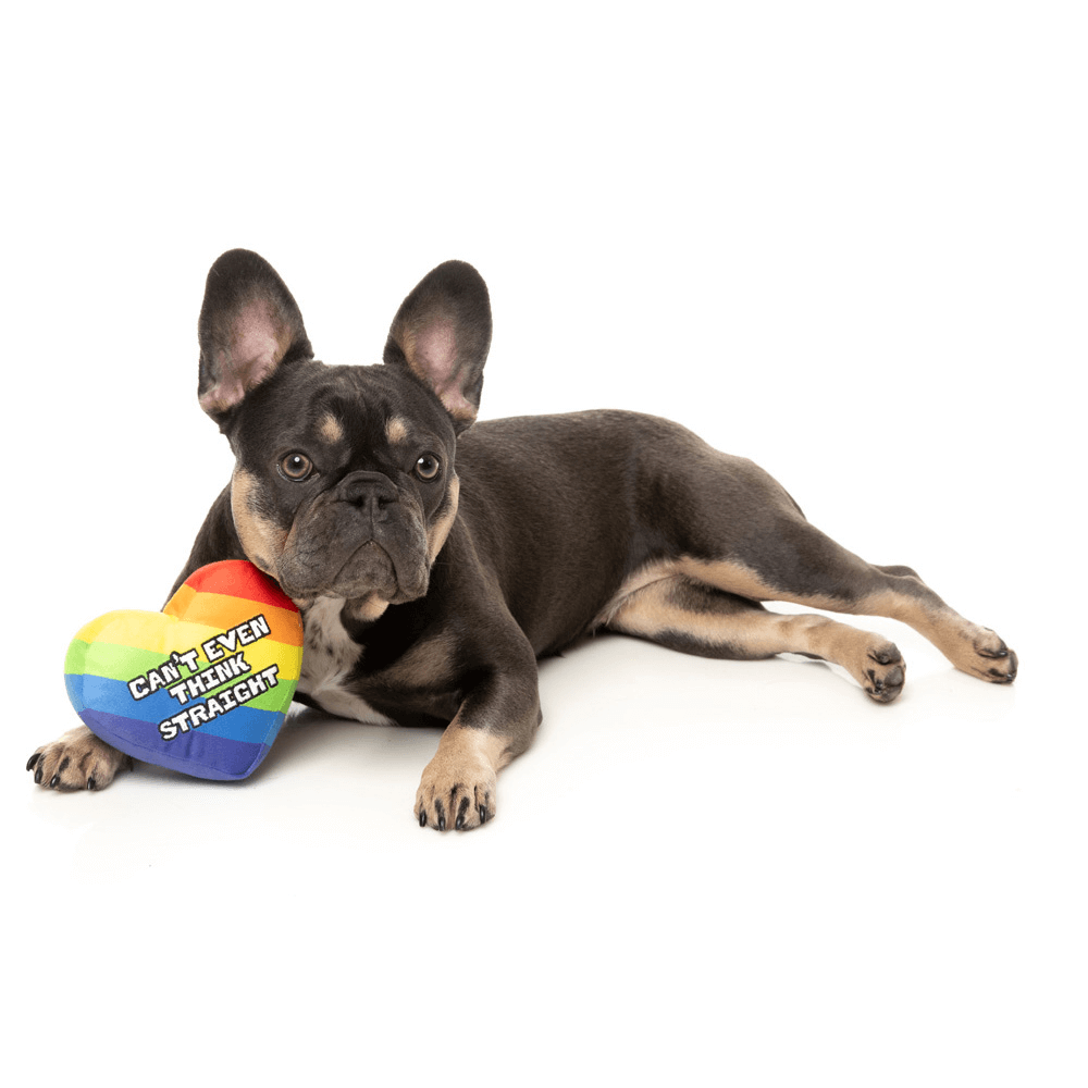Dog Toy Cant Think Straight 3 Dog Toy Cant Think Straight