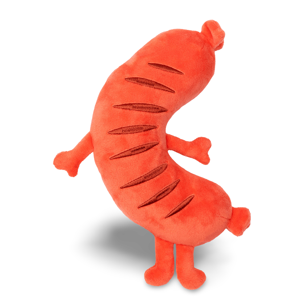 Brad Wurst Dog Toy 2 Brad Wurst Dog Toy