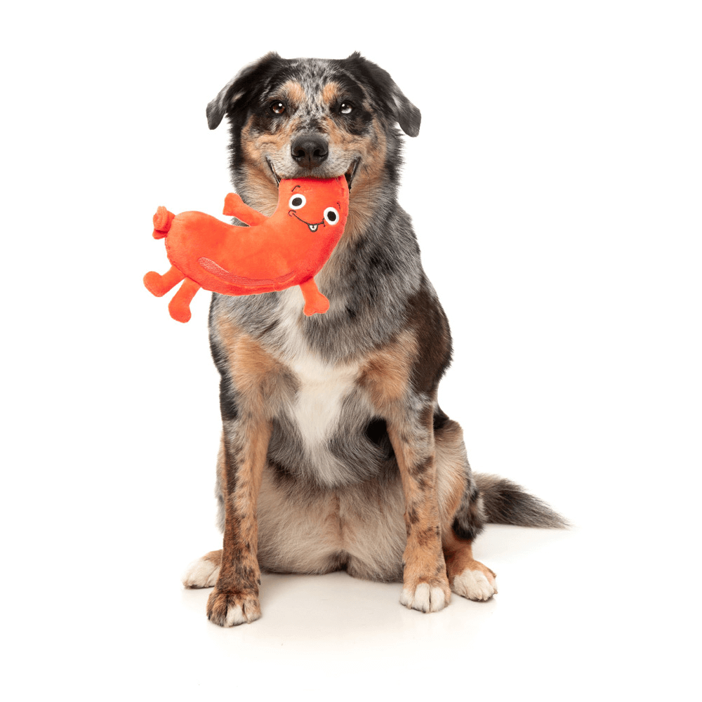 Brad Wurst Dog Toy 3 Brad Wurst Dog Toy