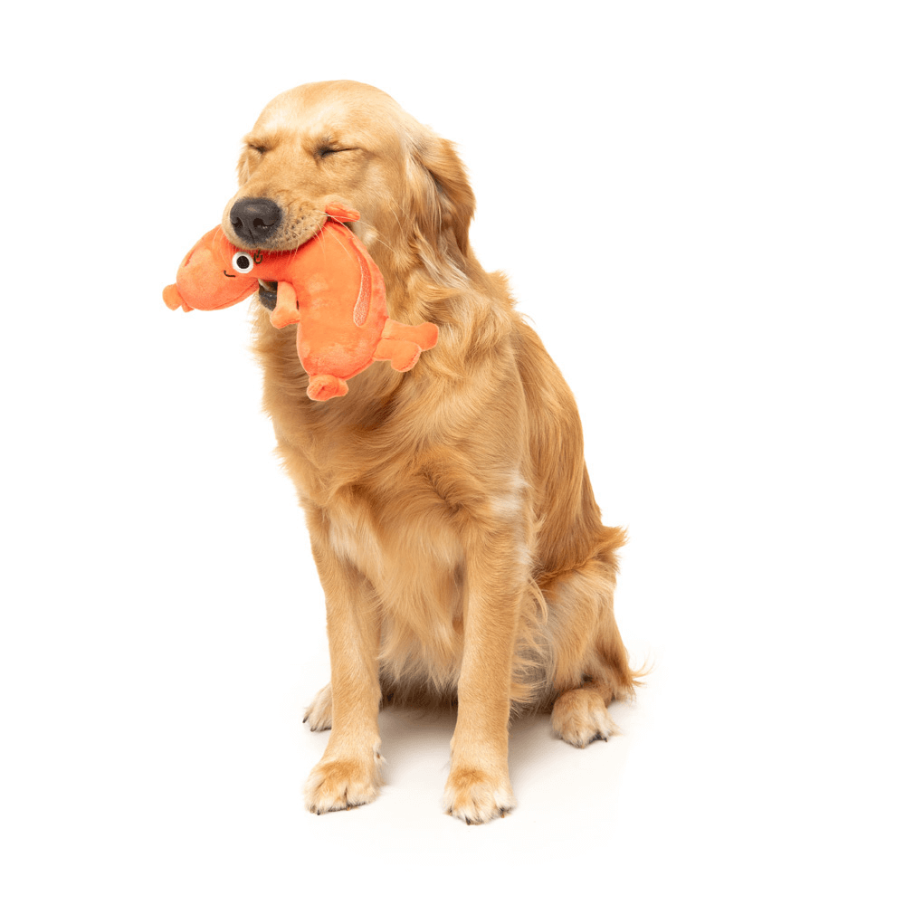 Brad Wurst Dog Toy 4 Brad Wurst Dog Toy