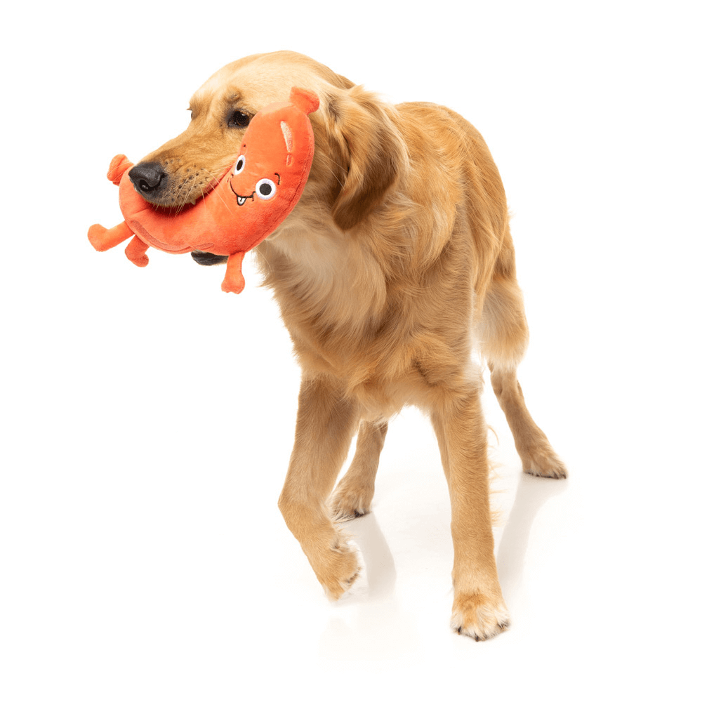 Brad Wurst Dog Toy 5 Brad Wurst Dog Toy