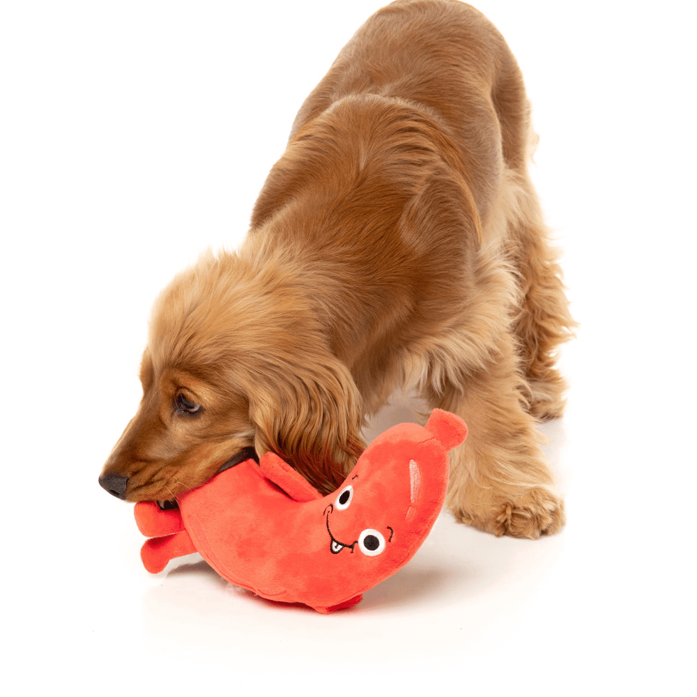 Brad Wurst Dog Toy 6 Brad Wurst Dog Toy