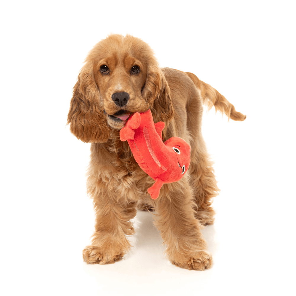 Brad Wurst Dog Toy 7 Brad Wurst Dog Toy