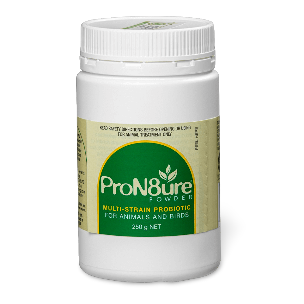 Pron8ure Multistrain Probiotic Powder For Animals And Birds