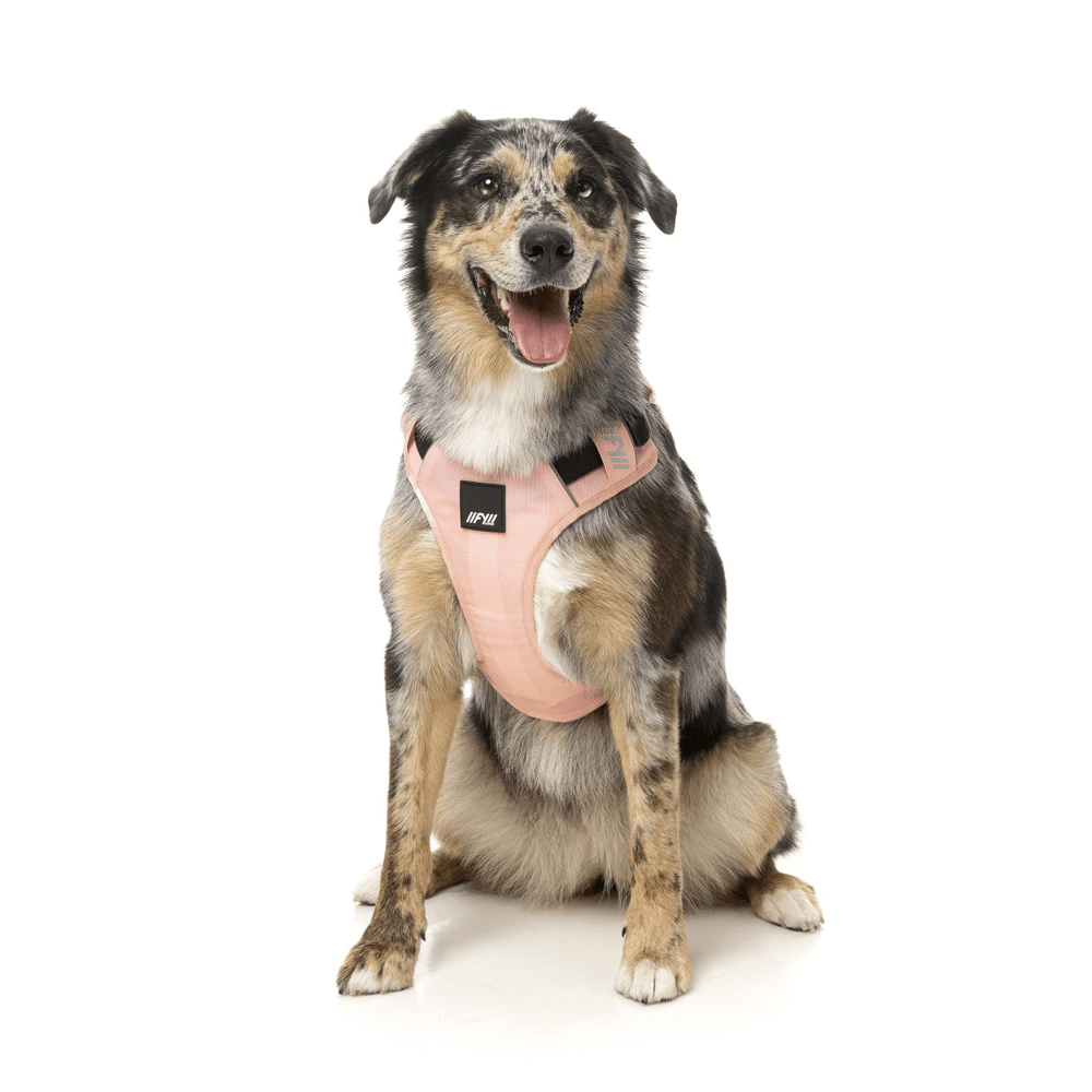 Active Go Harness Dog Peach 3 Active Go Harness Dog Peach