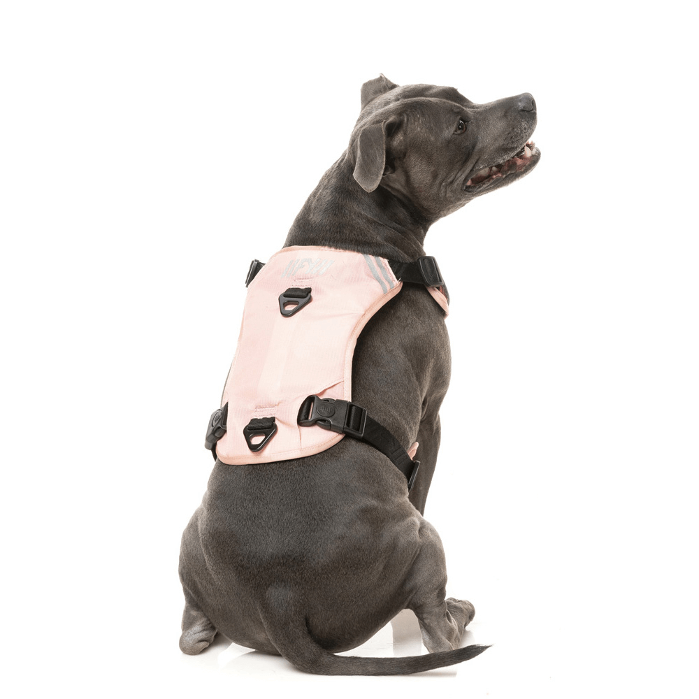Active Go Harness Dog Peach 4 Active Go Harness Dog Peach