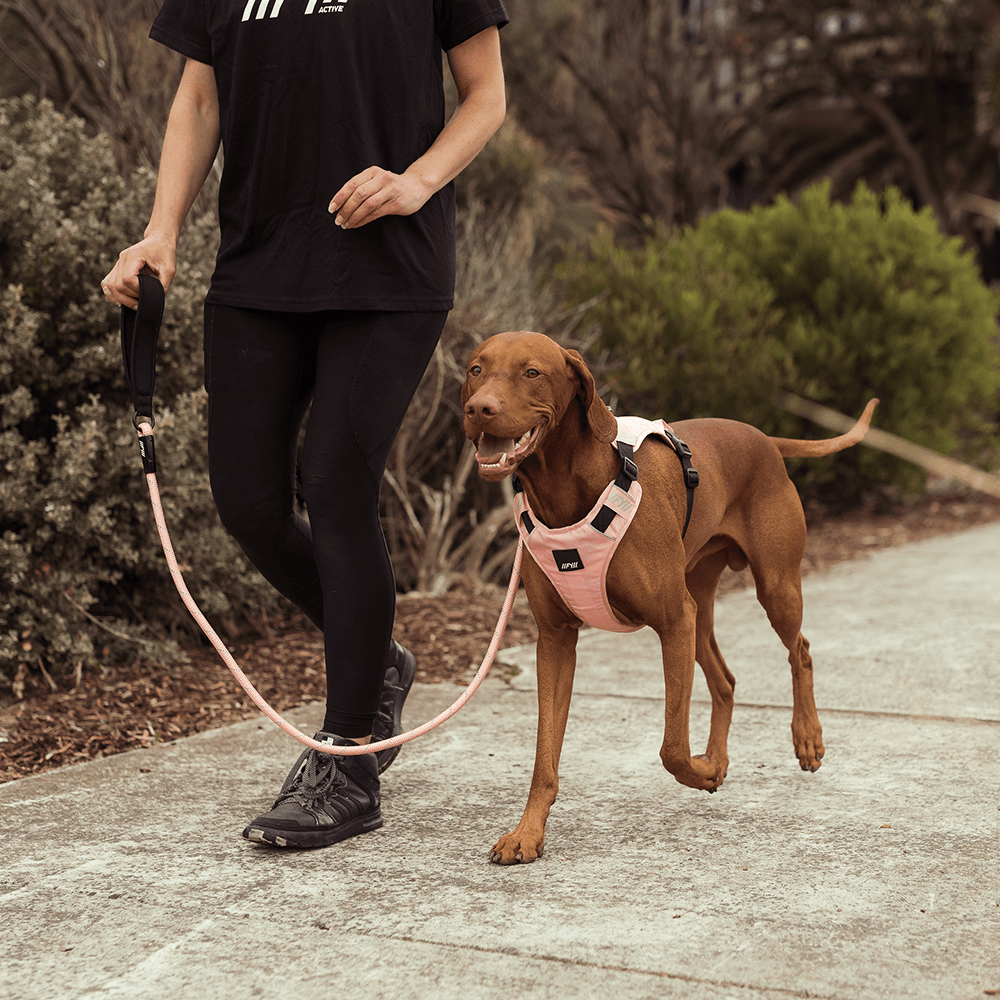 Active Go Harness Dog Peach 6 Active Go Harness Dog Peach