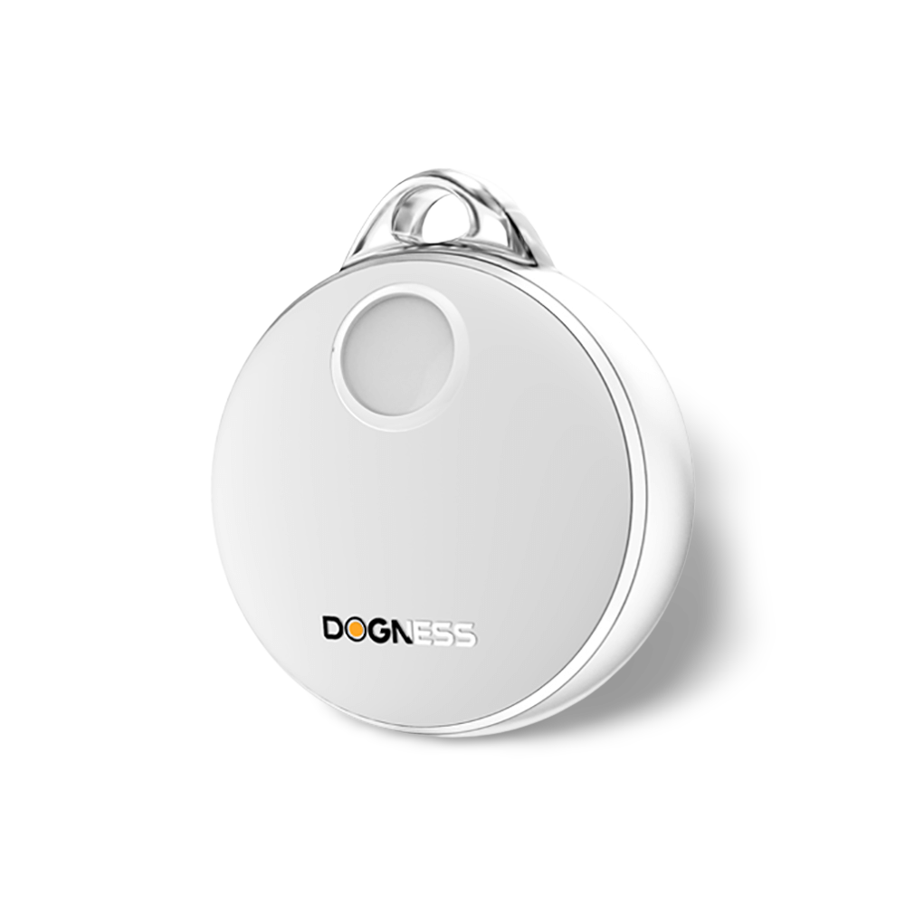 Smart Dog Tag
