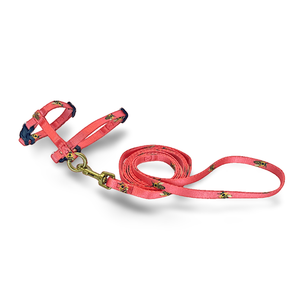 Bertie The Bee Cat Harness And Lead