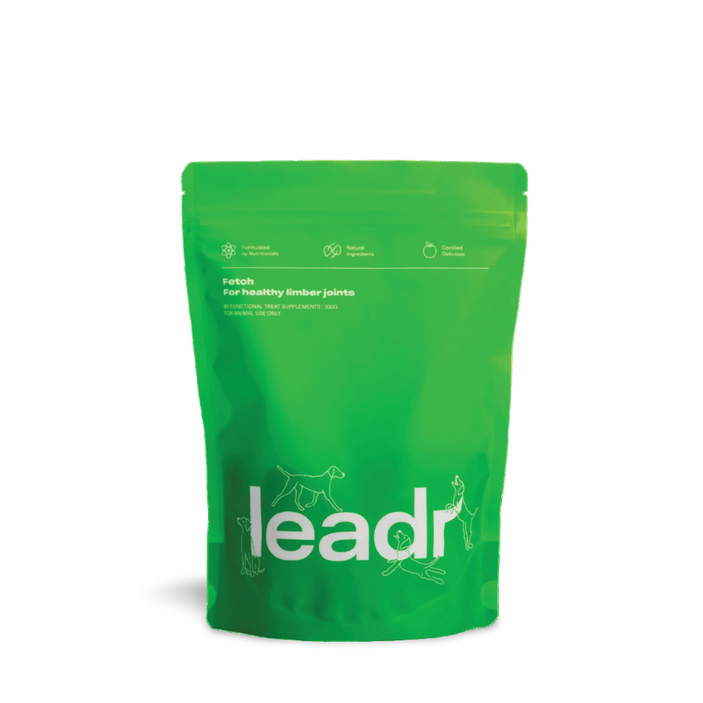 Fetch Joint Supplement For Dogs