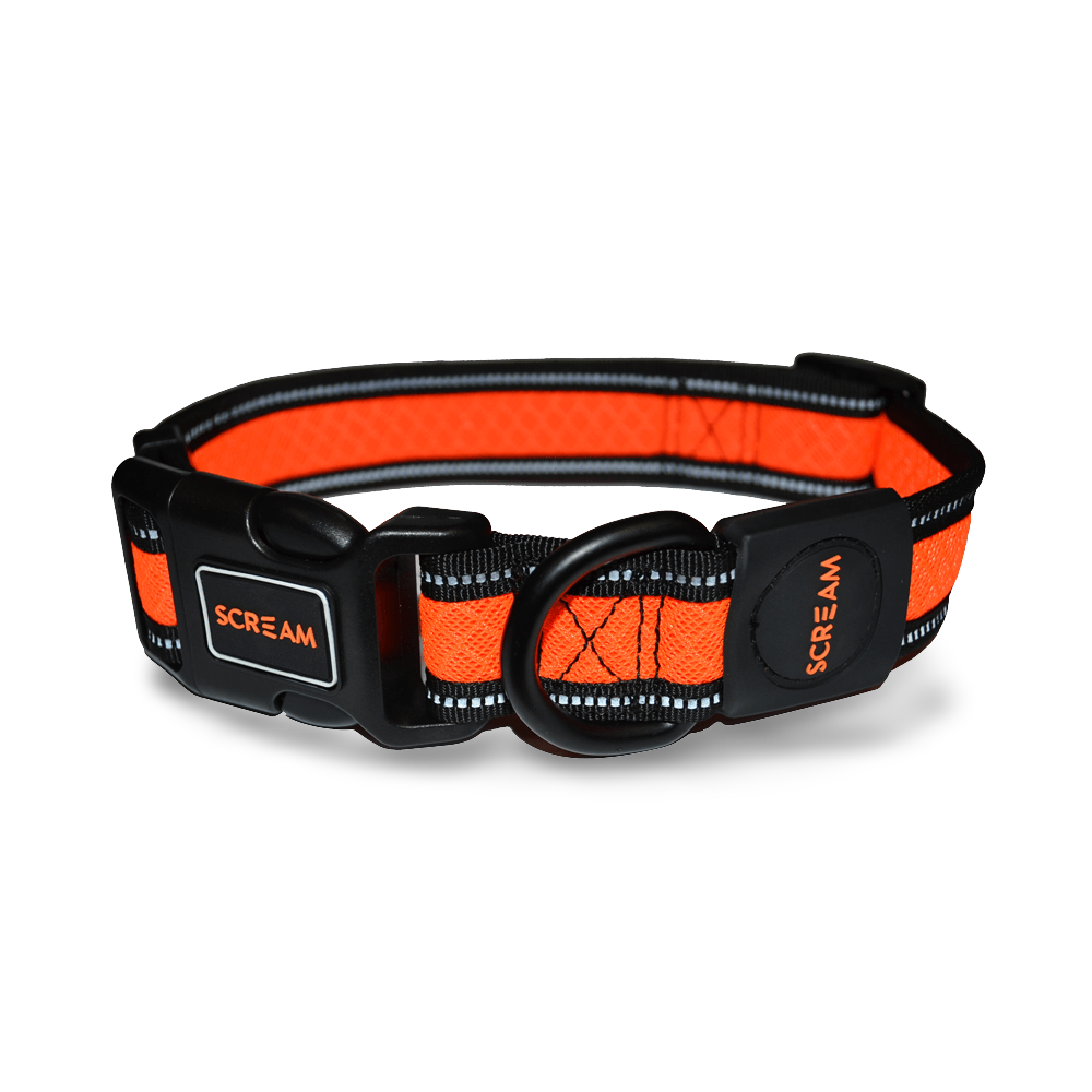 Reflective Adjustable Collar Orange