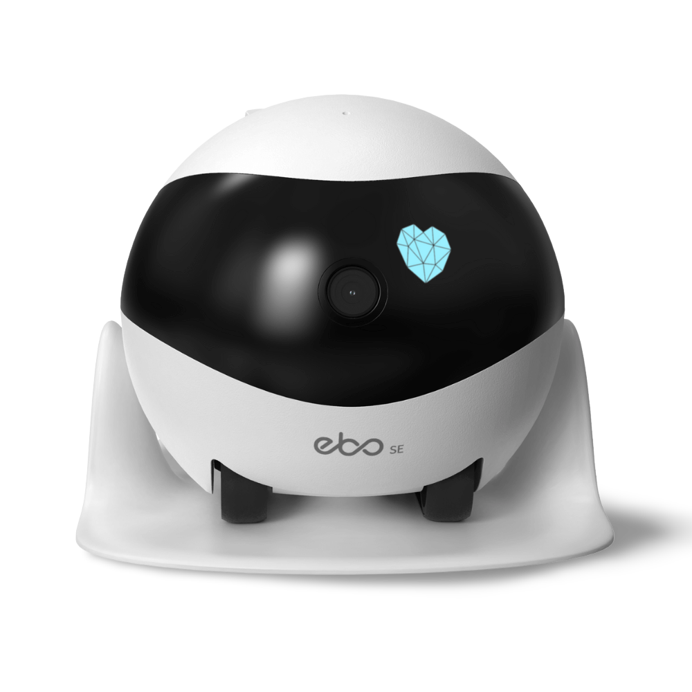 Ebo Se Smart Robot Cat Companion