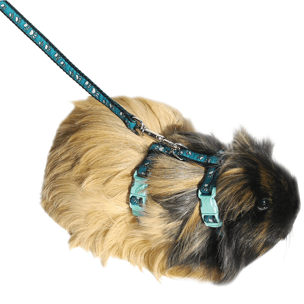 Paw Print Small Animal Harness And Lead Set 3 Paw Print Small Animal Harness And Lead Set