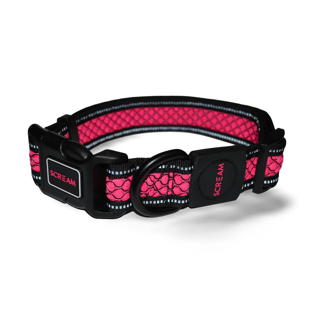 Reflective Adjustable Collar Pink