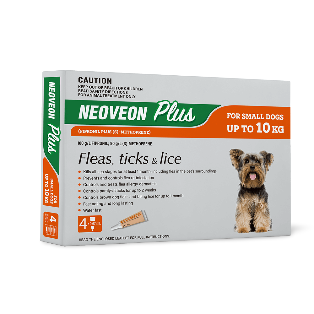 Flea And Tick For Small Dogs 1 Flea And Tick For Small Dogs