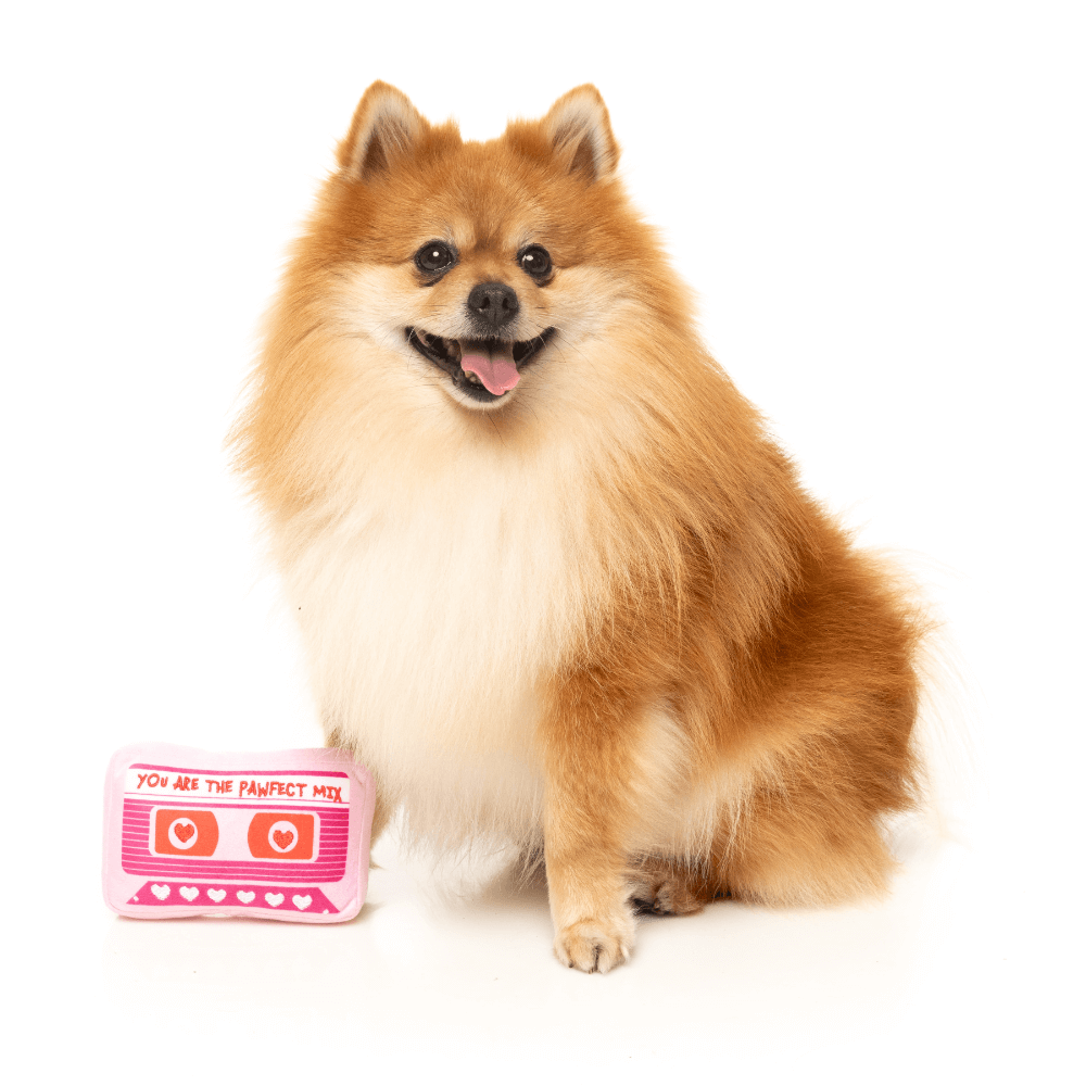 Pawfect Mix Tape Plush Dog Toy 2 Pawfect Mix Tape Plush Dog Toy