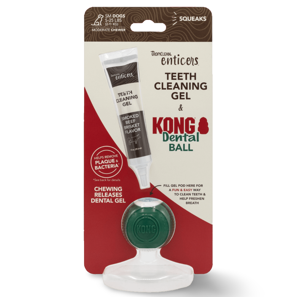 Enticers Kong Dental Ball And Beef Brisket Gel 1 Enticers Kong Dental Ball And Beef Brisket Gel