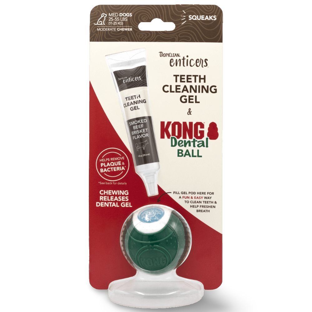 Enticers Kong Dental Ball And Beef Brisket Gel 11 Enticers Kong Dental Ball And Beef Brisket Gel