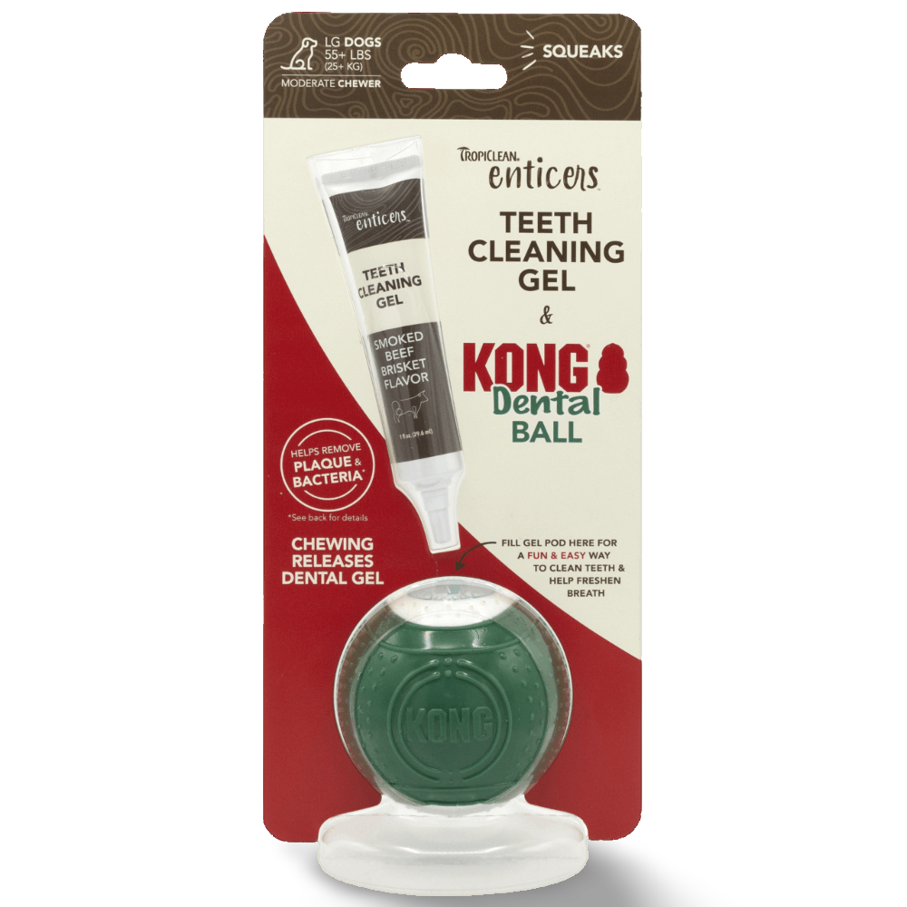 Enticers Kong Dental Ball And Beef Brisket Gel 12 Enticers Kong Dental Ball And Beef Brisket Gel