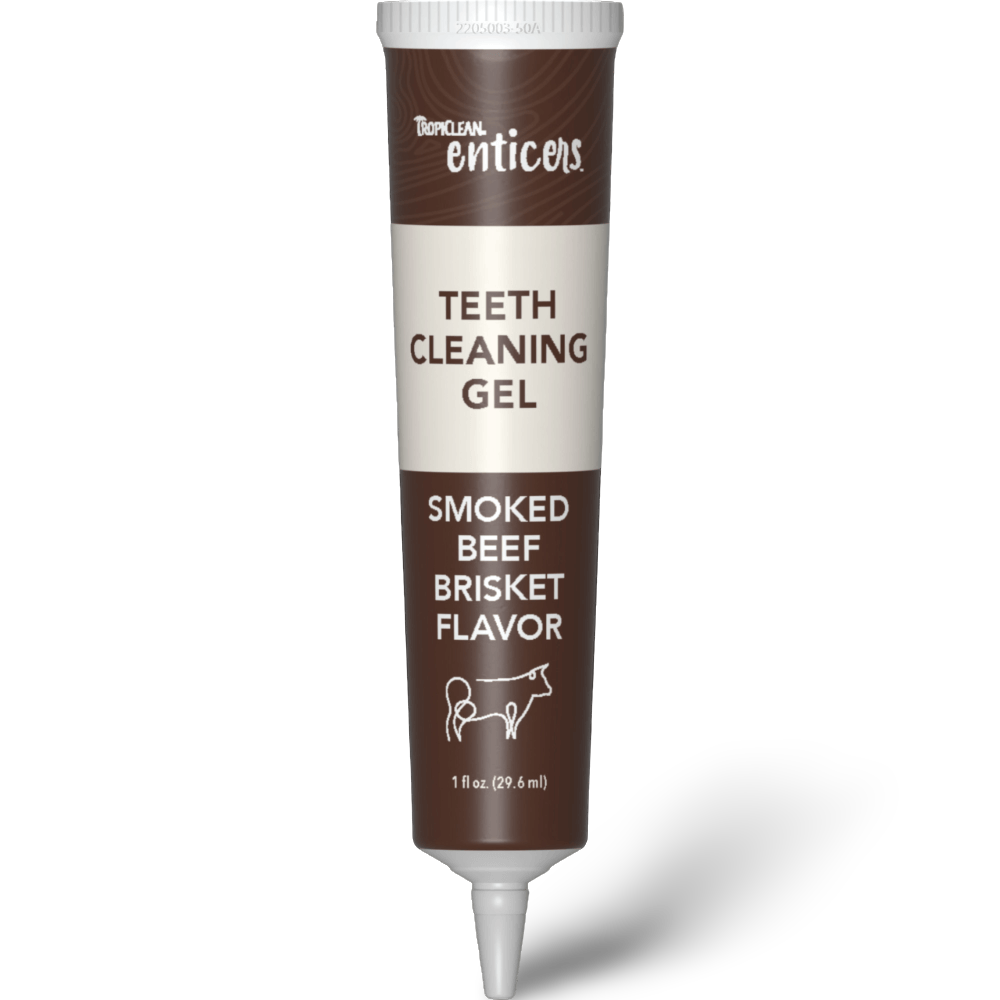 Enticers Kong Dental Ball And Beef Brisket Gel 13 Enticers Kong Dental Ball And Beef Brisket Gel